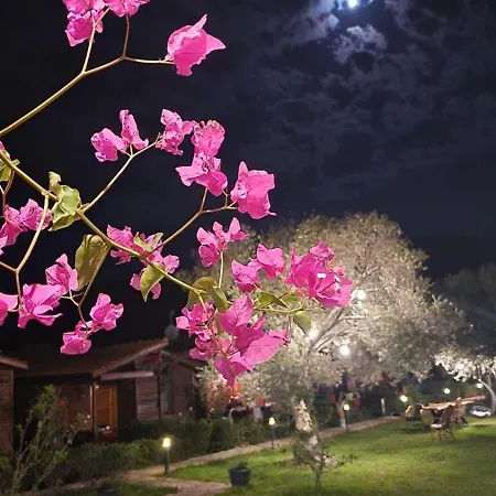 Suzi'nin Bahcesi Evler *