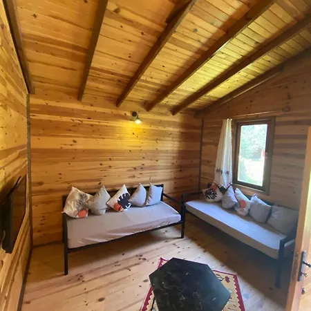 Suzi'nin Bahcesi Evler * Датча