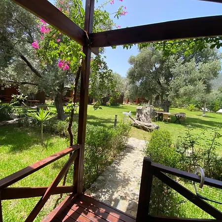 Suzi'nin Bahcesi Evler * Датча