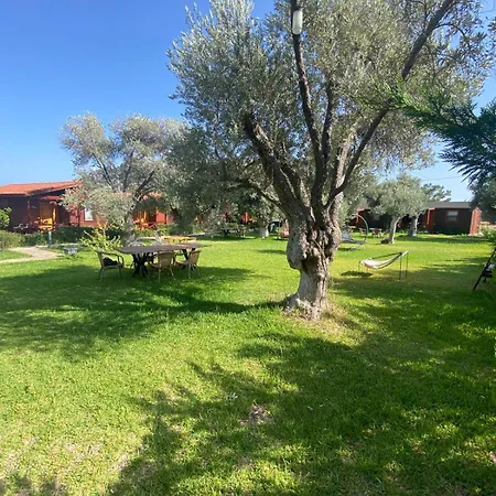 Suzi'nin Bahcesi Evler Датча