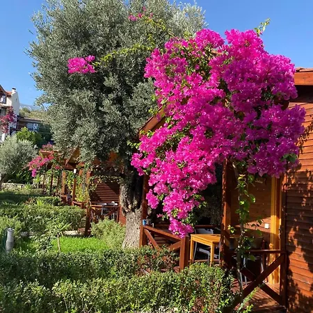 Aparthotel Suzi'nin Bahcesi Evler Datça