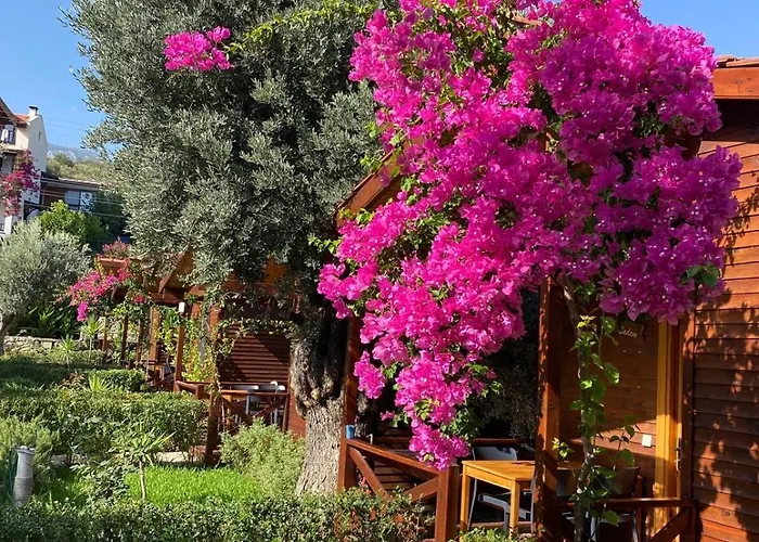 Apartmanhotel Suzi'nin Bahcesi Evler Datça